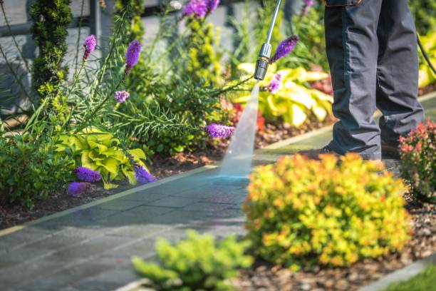 Best Animal Enclosure Cleaning  in Itasca, TX